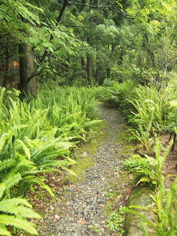Wa No Cottage Sen-No-Ie Yakushima  Exterior foto